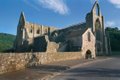 Tintern Abbey image 2