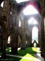 Tintern Abbey image 3