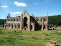 Tintern Abbey image 4