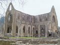 Tintern Abbey image 5