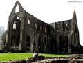 Tintern Abbey image 6