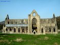 Tintern Abbey image 7