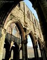 Tintern Abbey image 8