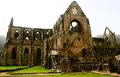 Tintern Abbey logo