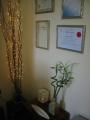 Toni Mackenzie. Inner Depths Psychotherapy Hypnotherapy NLP EFT Life Coaching image 4