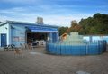 Tooting Bec Lido image 4
