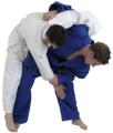 TopStar martial arts image 1