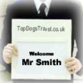 Top Dogs Travel - Airport Transfers Flintshire logo