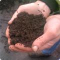 Topsoil Shop image 1