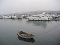 Torquay Harbour Boarding Pontoon image 2