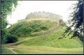 Totnes Castle image 1