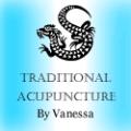 Traditional Acupuncture By Vanessa logo