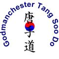 Traditional Martial Art logo