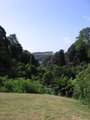 Trebah image 8