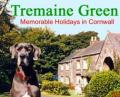 Tremaine Green Country Cottages image 7