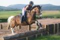 Triley Fields Equestrian Centre, Nr Abergavenny, South Wales. image 2