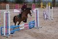 Triley Fields Equestrian Centre, Nr Abergavenny, South Wales. image 3