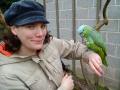 Tropical Birdland image 2