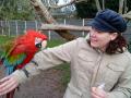 Tropical Birdland image 3