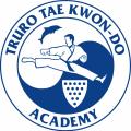 Truro Tae Kwon Do Academy image 2
