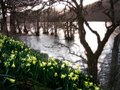 Ullswater image 1