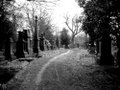 Undercliffe Cemetery image 5