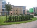 University of Bedfordshire image 4