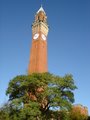 University of Birmingham image 10