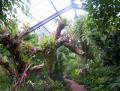 University of Dundee Botanic Garden image 5