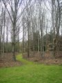 University of Dundee Botanic Garden image 1