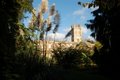 University of Oxford Botanic Garden image 3