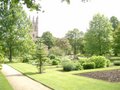 University of Oxford Botanic Garden image 6