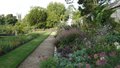 University of Oxford Botanic Garden image 7