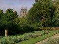 University of Oxford Botanic Garden image 8