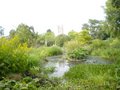 University of Oxford Botanic Garden image 1