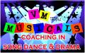 VM Musical Theatre Training, Song, Dance and Drama logo