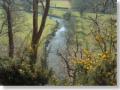 Vale of Ffestiniog Holiday Cottages image 7