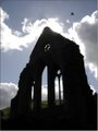 Valle Crucis Abbey image 3