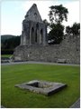 Valle Crucis Abbey image 4
