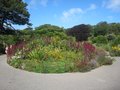 Ventnor Botanic Garden image 2