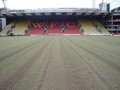 Vicarage Road image 7