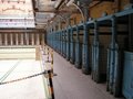 Victoria Baths image 5