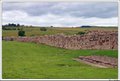 Vindolanda Trust image 6