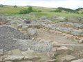 Vindolanda Trust image 10