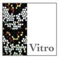 Vitro Stained Glass image 1