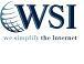 WSI (Total Internet Marketing Solutions) image 2