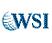 WSI (Total Internet Marketing Solutions) logo