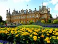 Waddesdon Manor image 5