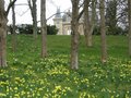 Waddesdon Manor image 7