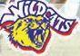 Wakefield Trinity Wildcats R L F C Ltd logo